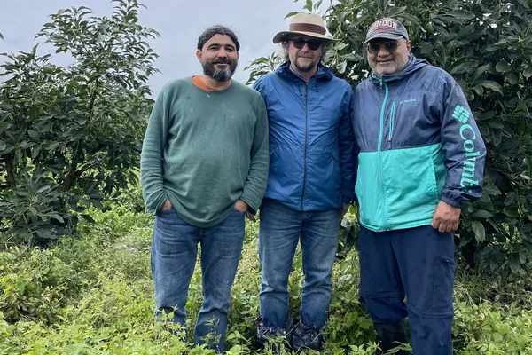 Eksperci na plantacji awokado. Od lewej: Juan Carlos Loaiza, Tomasz Zaleski, Walter Nelson Osorio