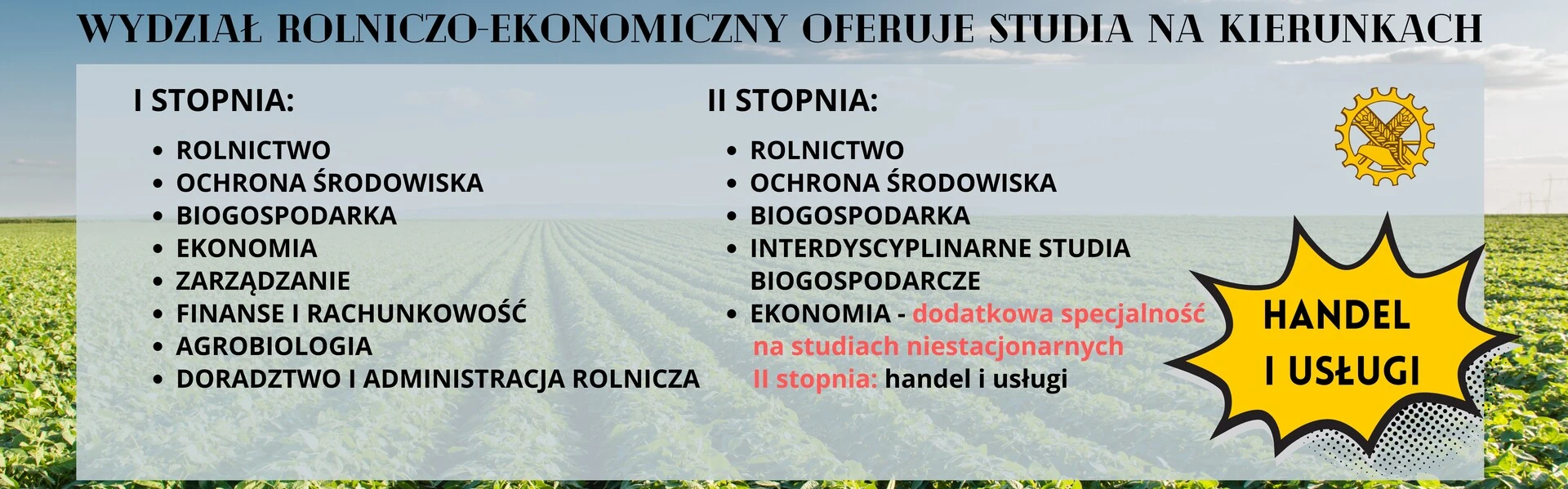 Dowiedz się więcej