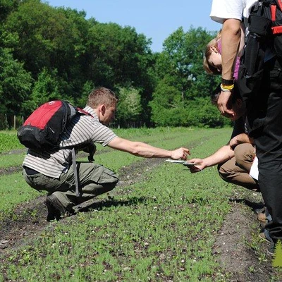 Fitopatologia Leśna