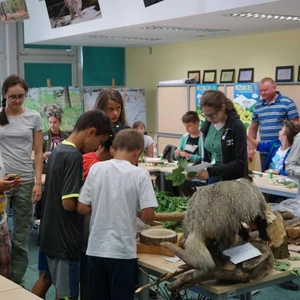 Edukacja przyrodniczo-leśna 2016/2017