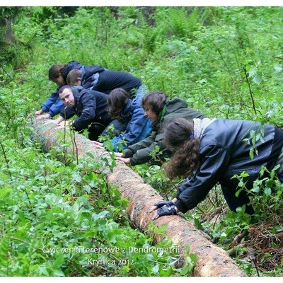 Ćwiczenia terenowe z Dendrometrii