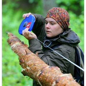 Ćwiczenia terenowe z Dendrometrii