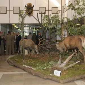 konferencja z okazji 60 lecia wydziału