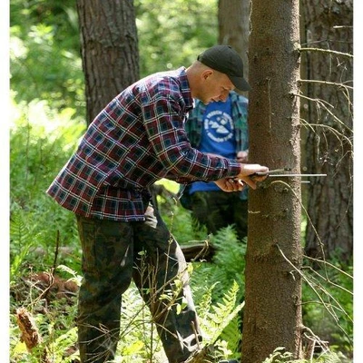 Ćwiczenia terenowe z Dendrometrii